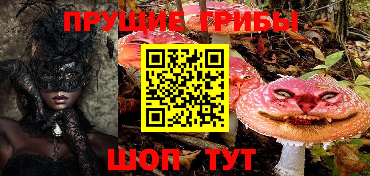 купить наркотик  Вход с VPN  Тихвин  Псилоцибиновые грибы GOLDEN TEACHER 